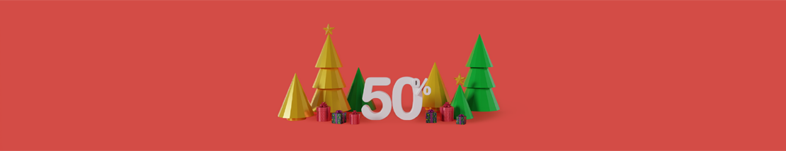 50% de remise sur tous le mobilier en palettes recyclées !